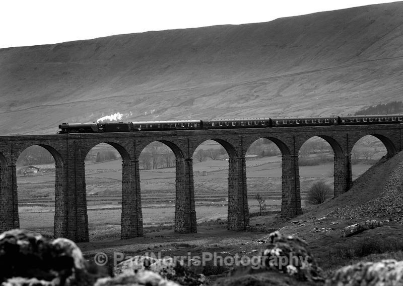  - Trains