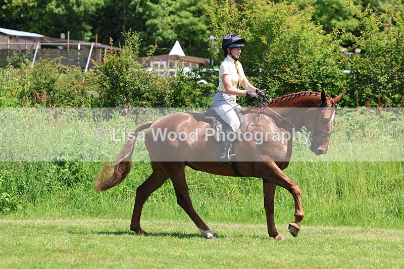 3E7A8054 - Working Hunter Championship