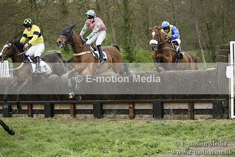 PtP 170417 538 - Old Berks Point-to-Point Lockinge 17/04/17