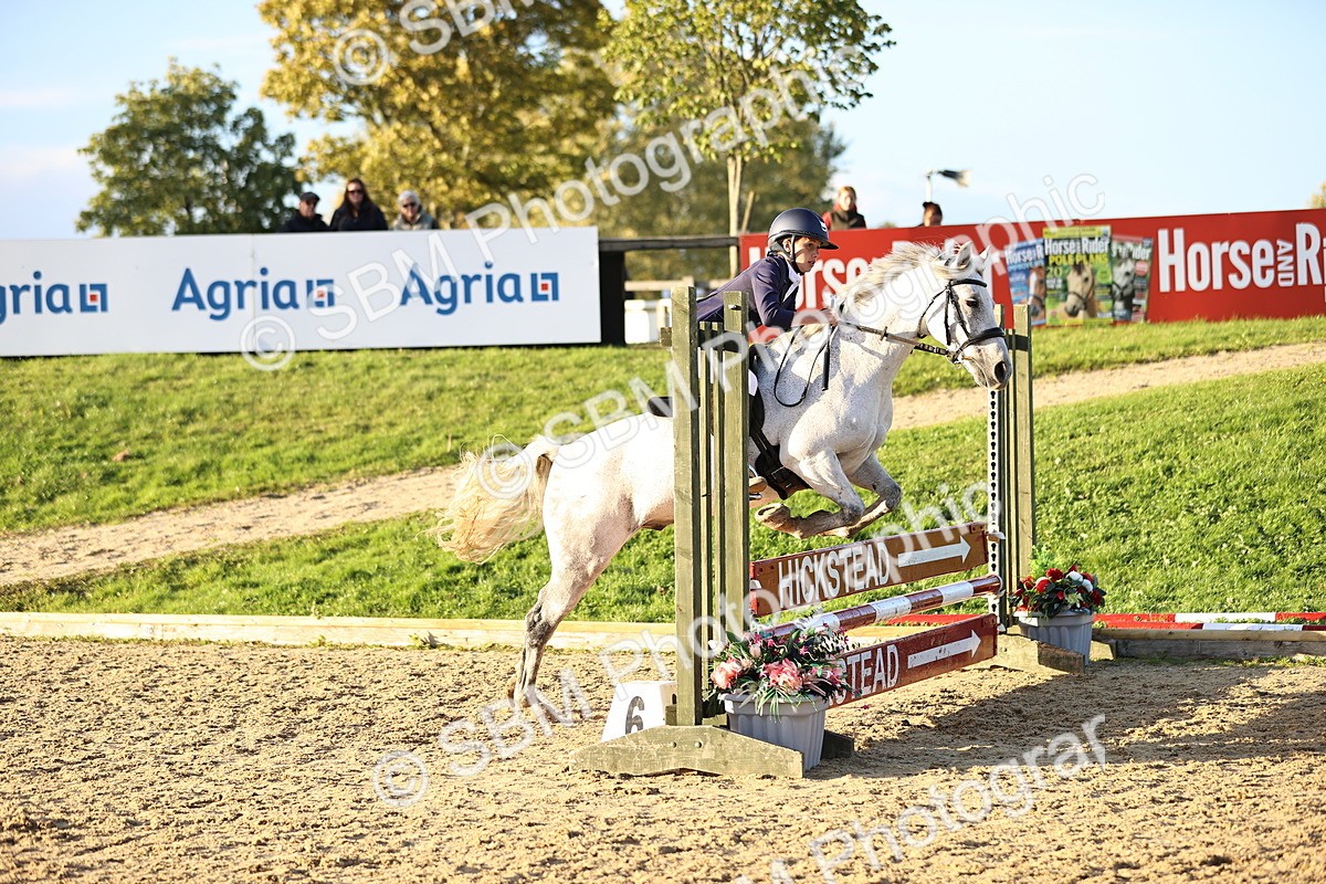 SBM_54292 - Supreme Championship 70cm 75cm