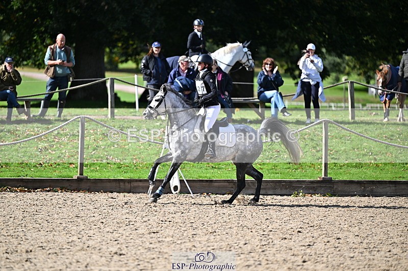 251005A-140736-04295 - Cls 09 Nov 80-85cm