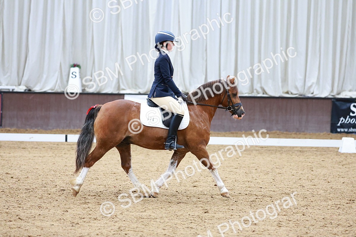 SBM_000877 - Class 12 - Prelim 2