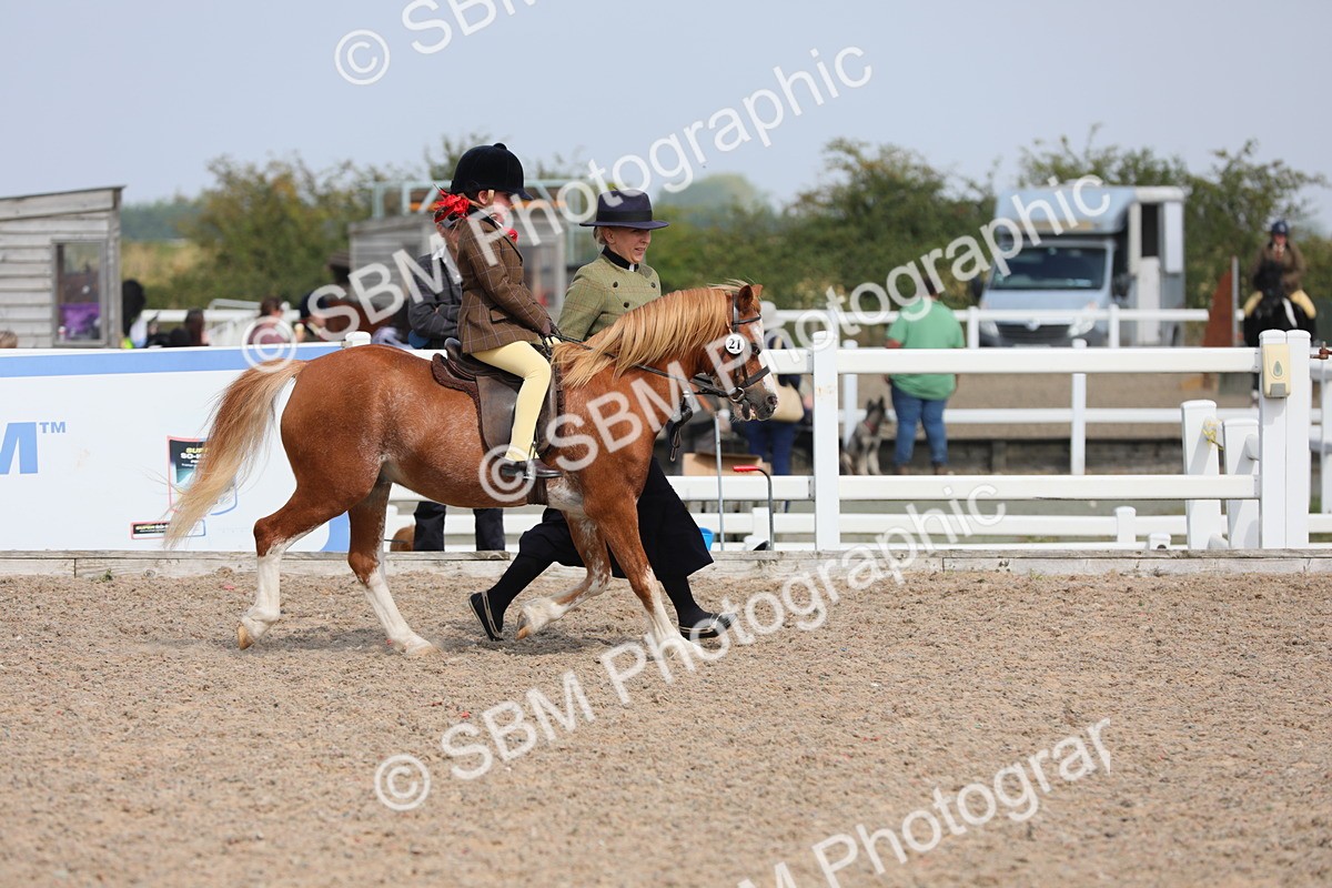 SBM_14075 - Class 309 Lead Rein Pony