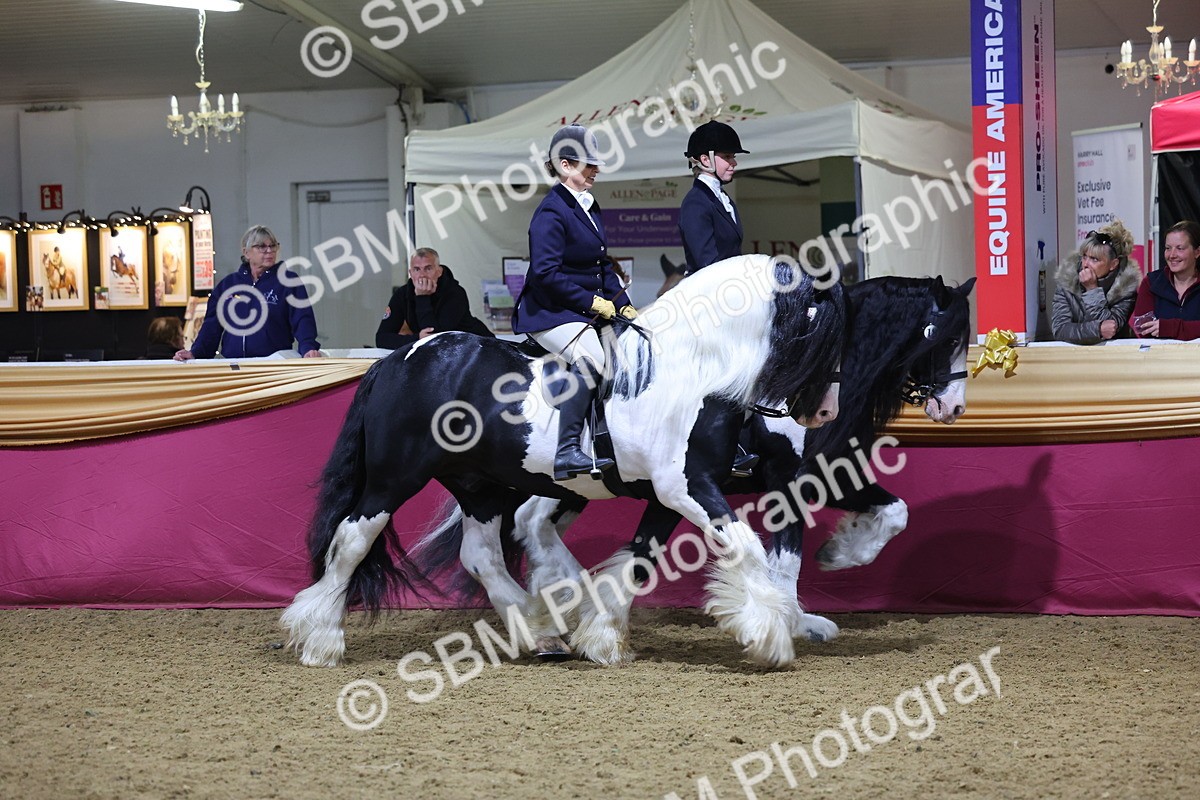 0B8A4350 - Class M Ridden Pairs Champ