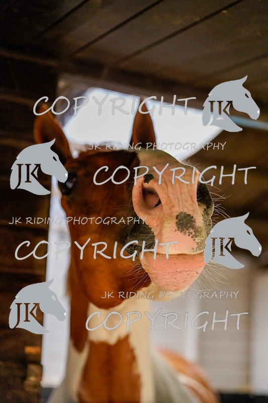 _DSC4049 - General Photos of the week!