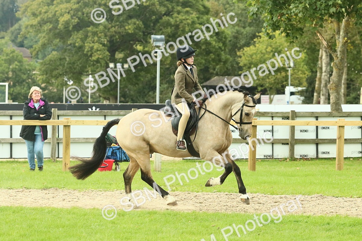 SBM_74018 - S 61 - Show Pony & Show Hunter Pony Ridden