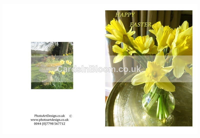 902 Happy Easter - Daffodils - Easter