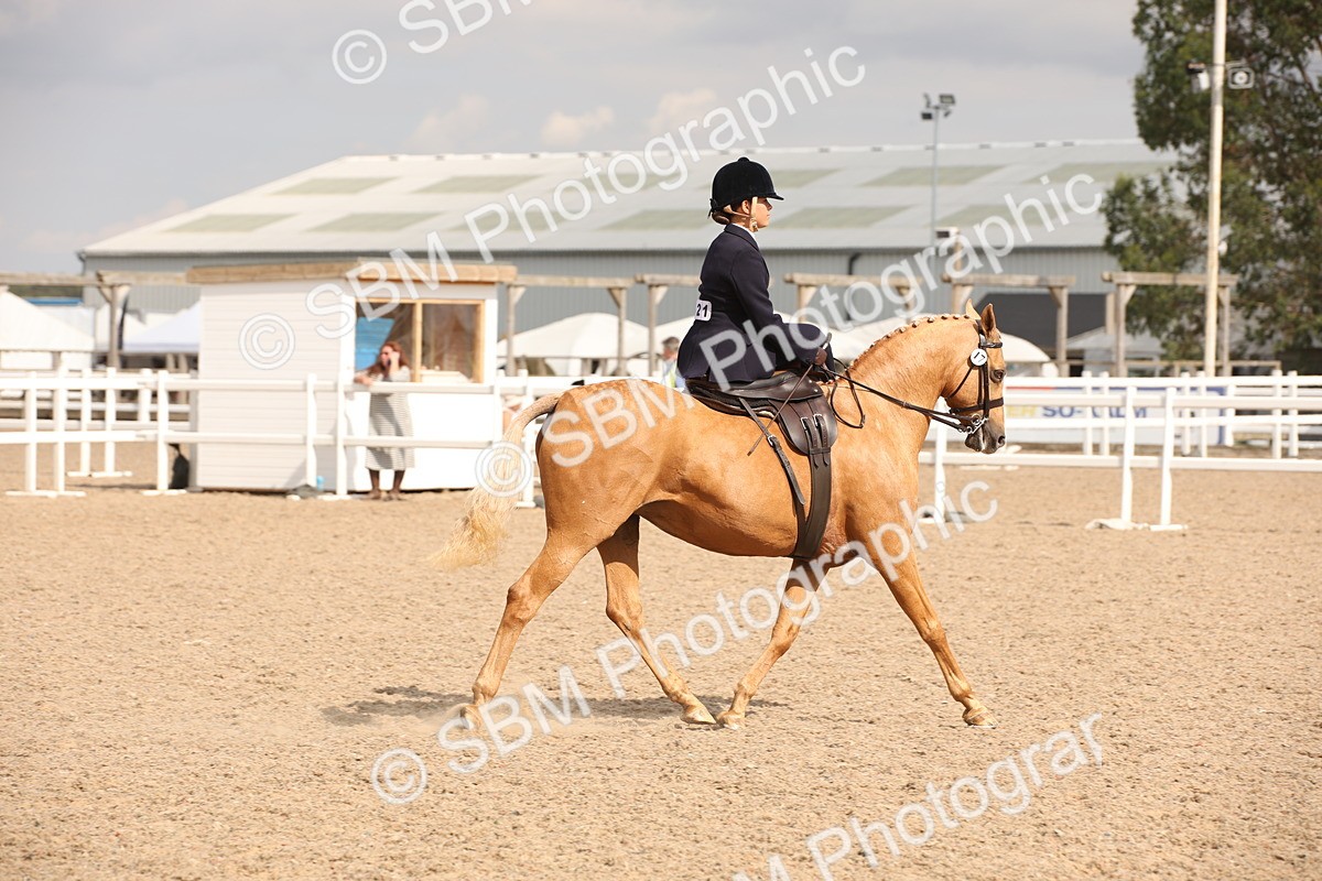 SBM_06766 - Class 24 Concours d'elegance