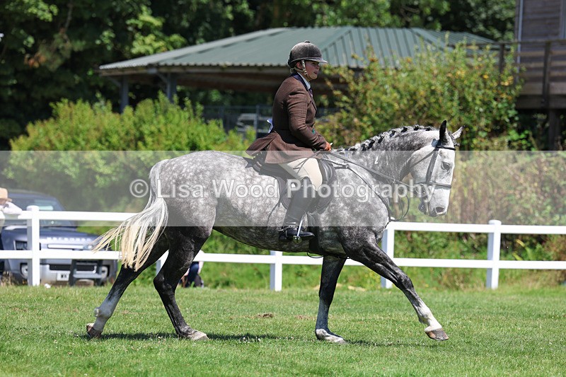 3E7A9161 - Working Hunter Championship