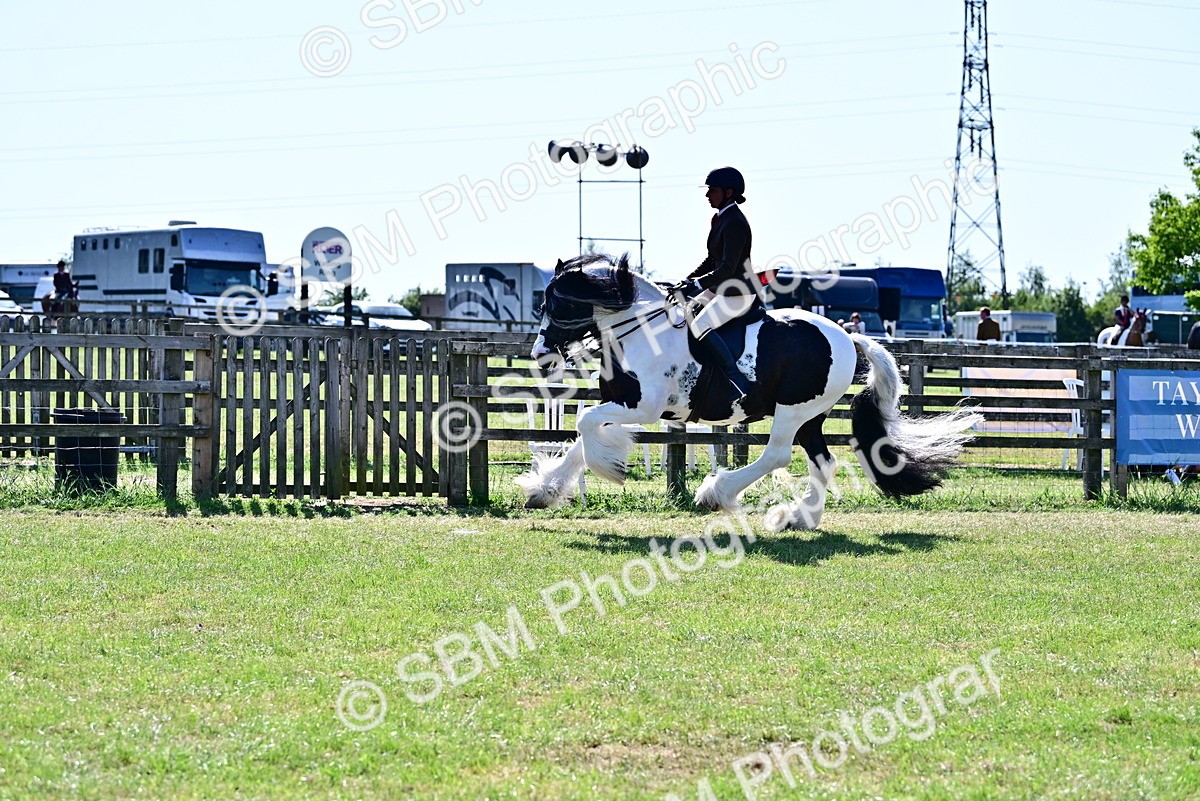 SBM_19388 - Class 101-102 - BSPS LIHS Performance Coloured Horse/Pony