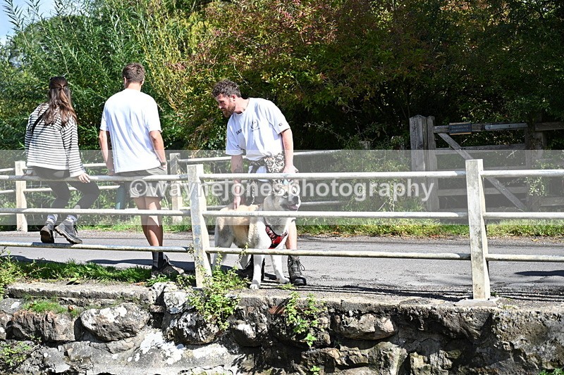 WJ7_5919 - Hounds Water Crossing