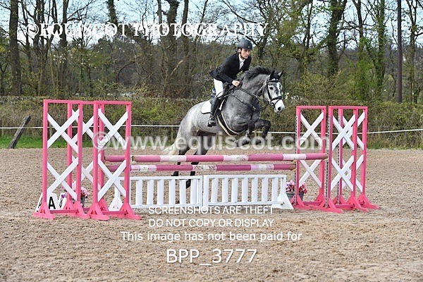 BPP_3777 - CLASS 3 FRI Senior British Novice/ 90cm Open