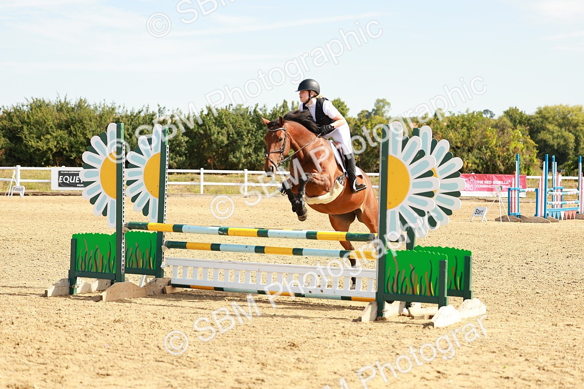 SBM_002530 - Class 9 - Senior British Novice - 90cm