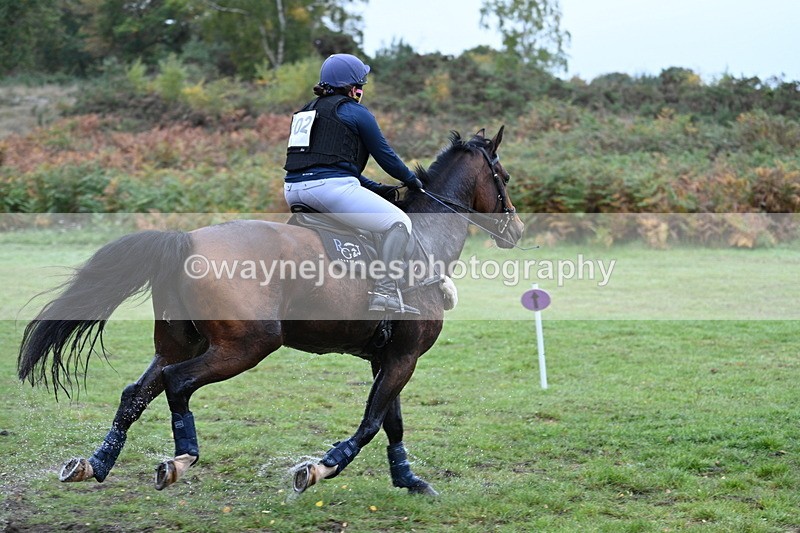 WJ7_5091 - Time 12:34 to 12:48