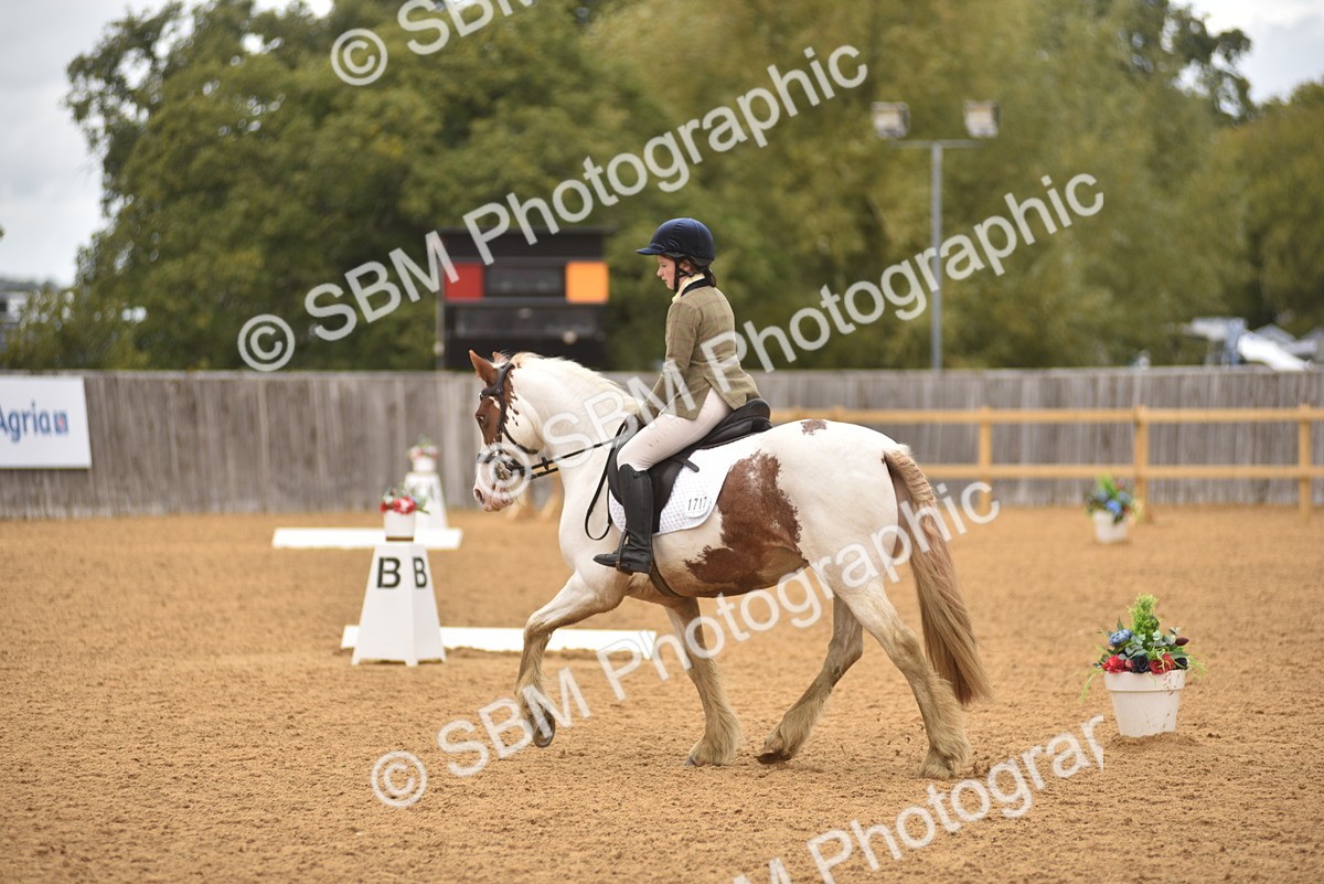 SBM_42341 - D22 - Junior Championship Intro 3