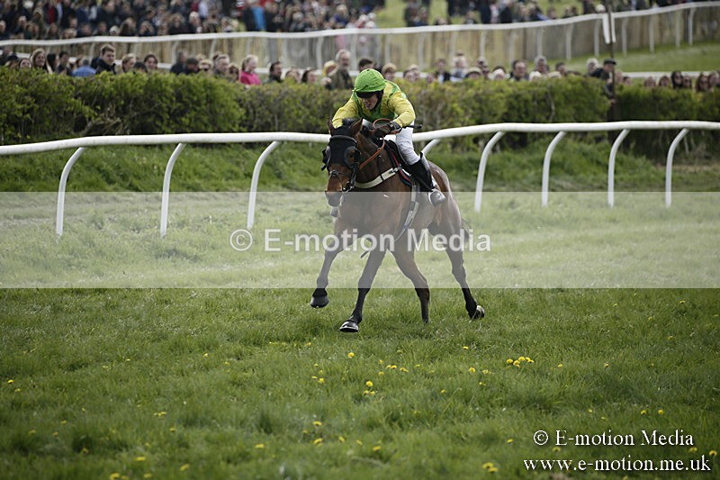 PtP 170417 357 - Old Berks Point-to-Point Lockinge 17/04/17