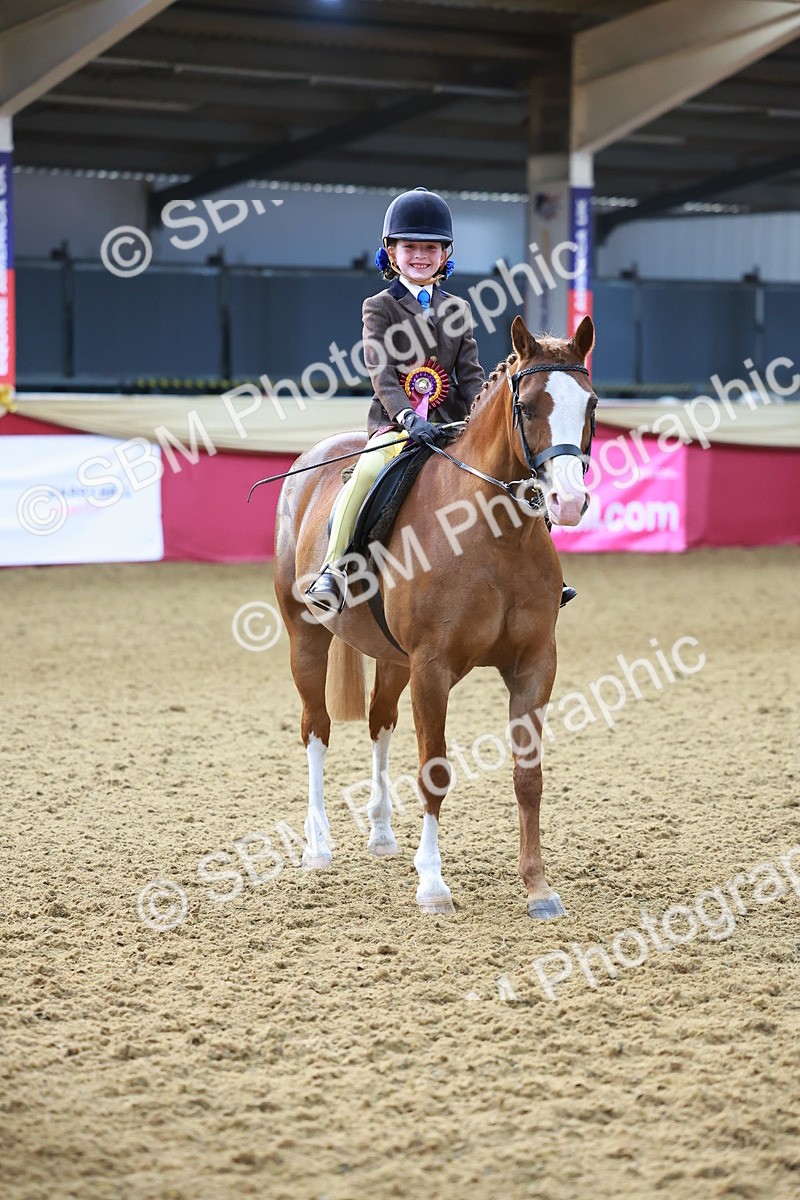 SBM_07754 - Class 101 - HOYS Veteran Qualifier - Ridden Diamond