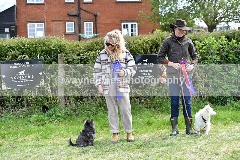 WJ5_0864 - Best in Show Championship