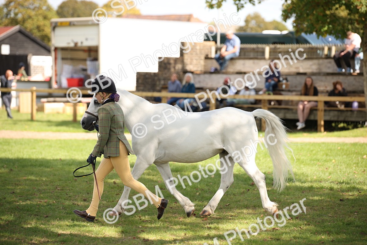 SBM_44447 - S24 - Young Veteran in hand