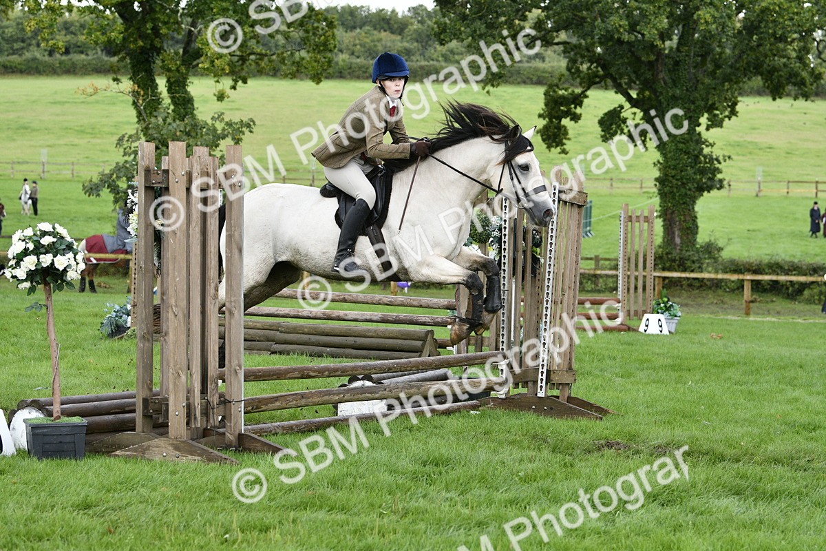 SBM_41524 - S32 - Mountain & Moorland Working Hunter Pony