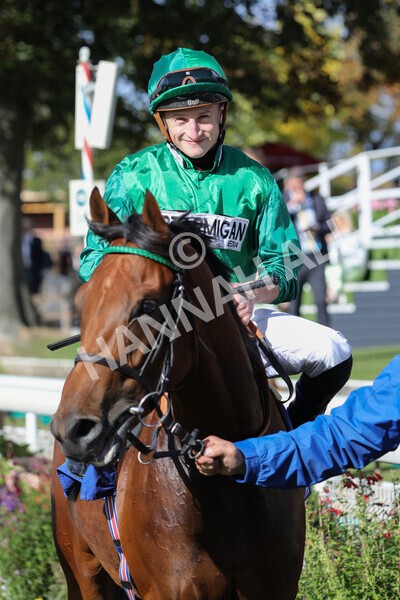 yr08102022r2-46 - Race 2 2.05pm The Coral Rockingham Stakes