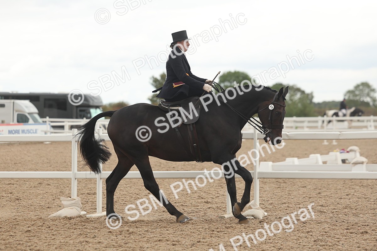 SBM_06309 - Class 23 - SSA - Classical
