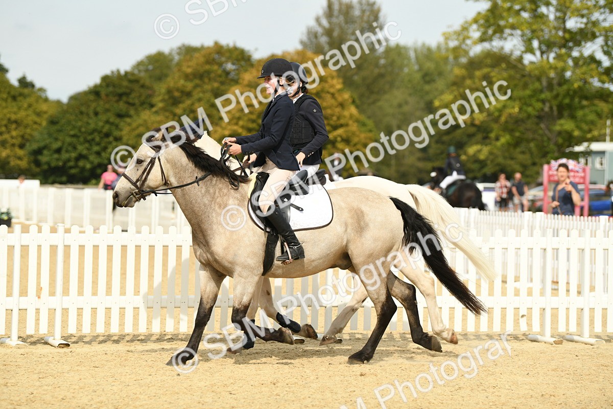 SBM_65337 - J48 - Pairs Jumping Open 70cm & 85cm