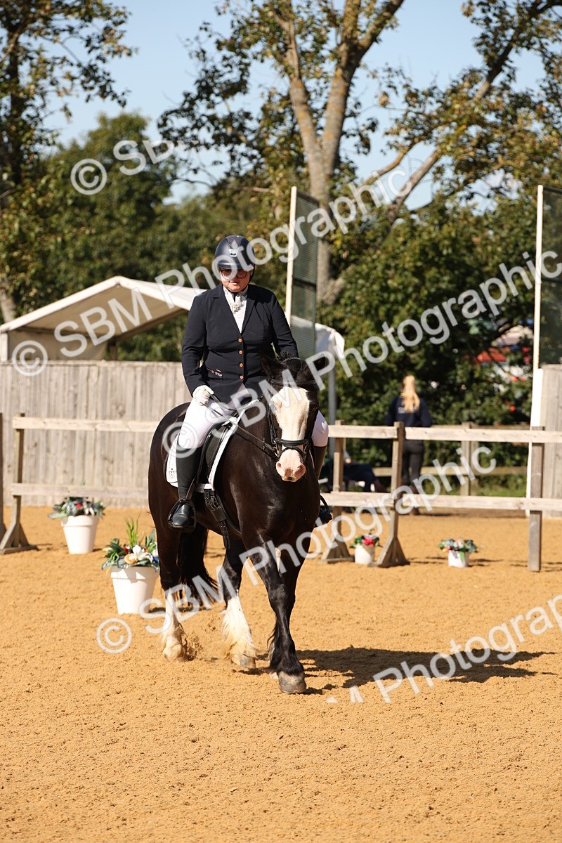SBM_24232 - D5 - Small Tour Championship - Intro C