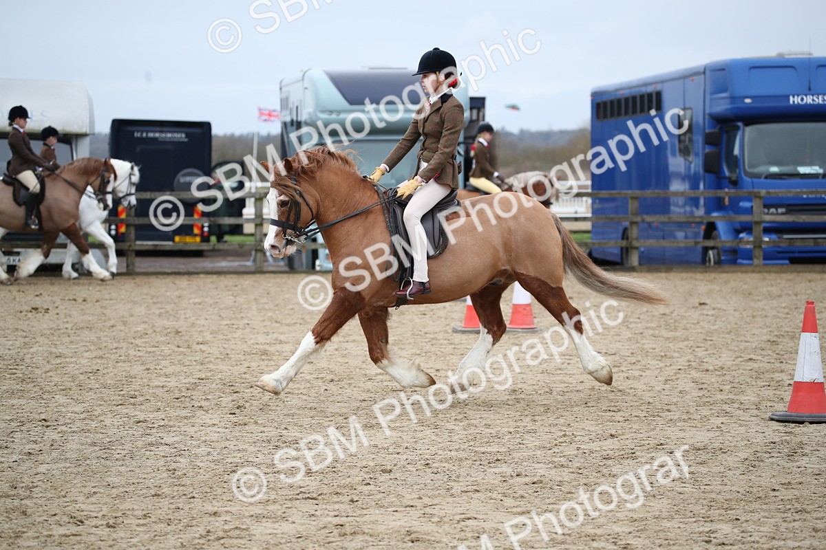 SBM_006134 - Class 10-13 - RIHS Small Large Breeds