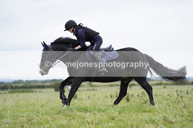 _DSC7353 - Time at Photographer 10:43 to 11:19