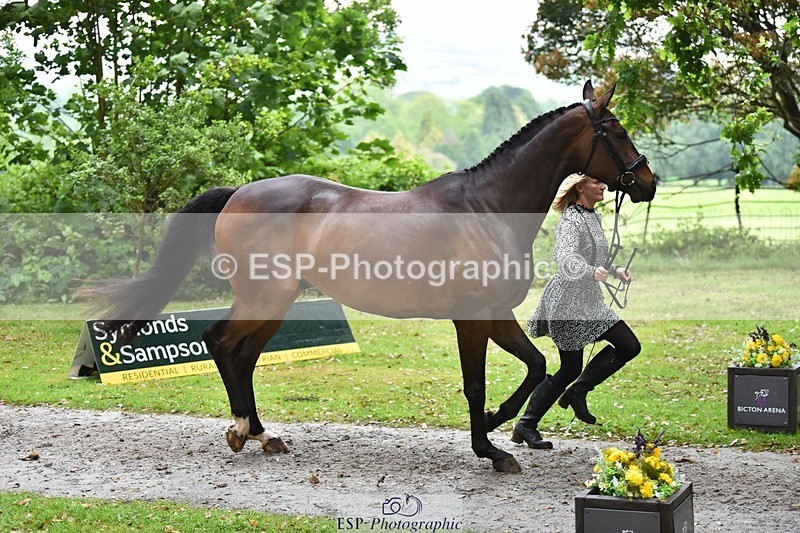 240522-165408-01241 - 227-FIREBALL_III-Oda_Christine_Lippestad