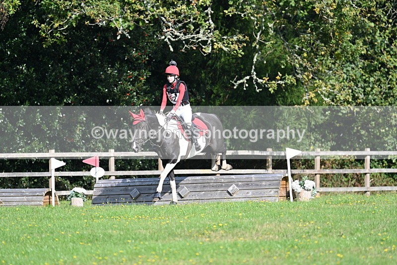 WJ7_4913 - 60cm Time 11:11 to 11:19