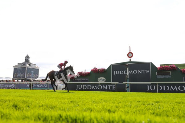 yr18082021r4-71 - Race 4 3.35pm Juddmonte International Stakes (British Champion Series race)