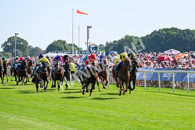 110726-Race 4-Raammee-7700 - Race 4 15.45pm John Smith's Cup