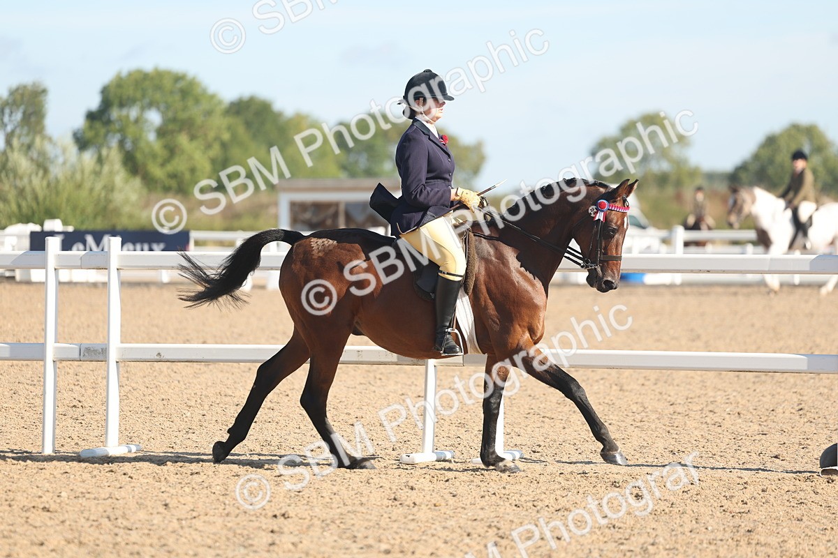 SBM_12310 - Class 304 - Ridden part Bred Horse Pony