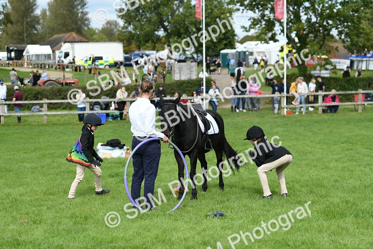 SBM_46955 - S12 - Family Horse & Pony