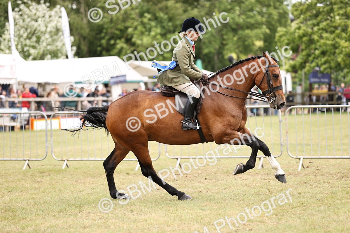 SBM_14816 - Class 88-89 - LIHS BSHA Rising Star of Ridden Hunter Type