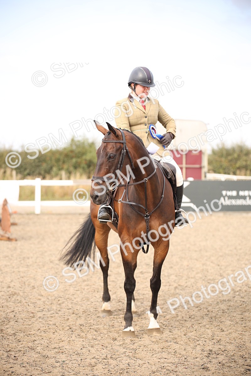 SBM_17323 - Class 410a - Wor5king Veteran 90cm (15-19)