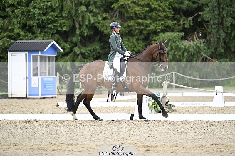 000101-212341-04292 - 412-WELLFIELDS_LINCOLN-Susie_Berry