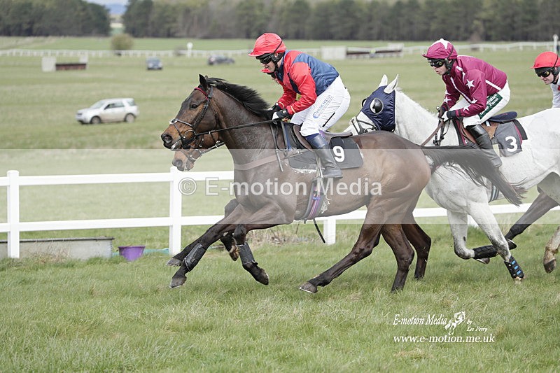 PtP 260323 0392 - New Forest Hounds Point-to-Point Larkhill 26/03/23