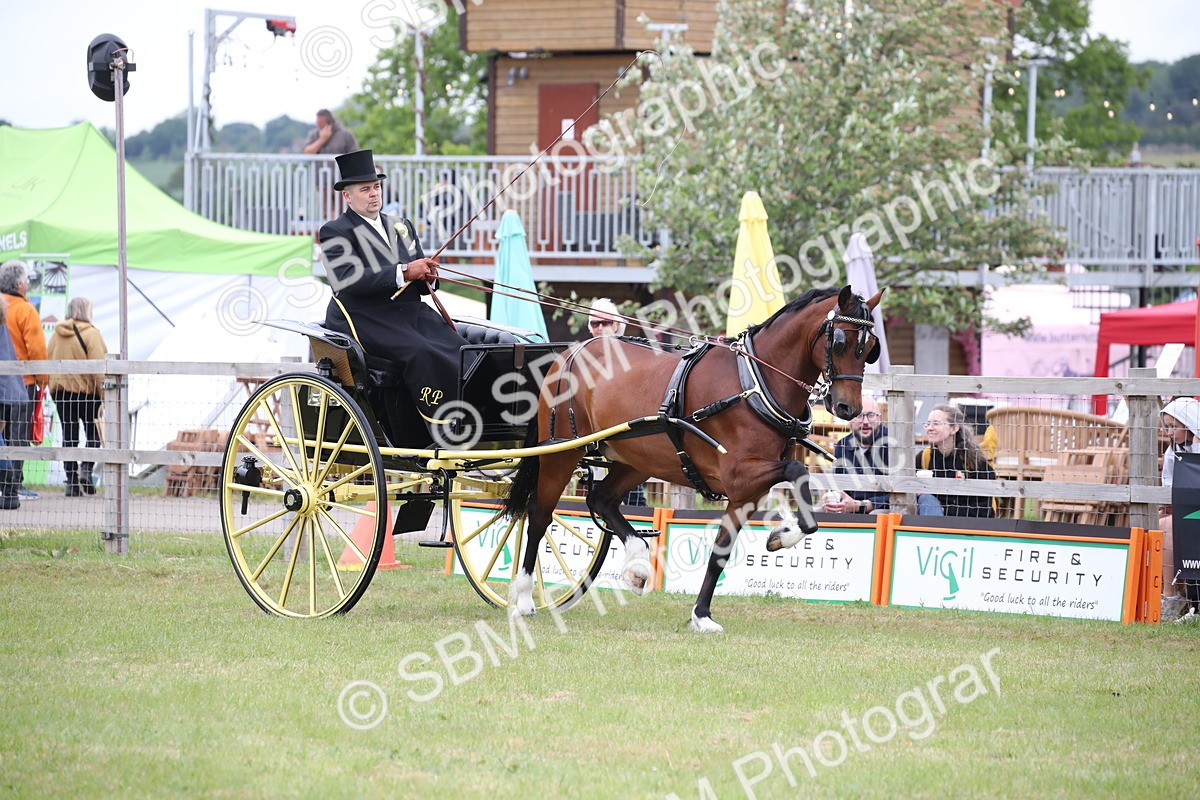 SBM_05737 - Class 12-15 - HOYS Private Driving