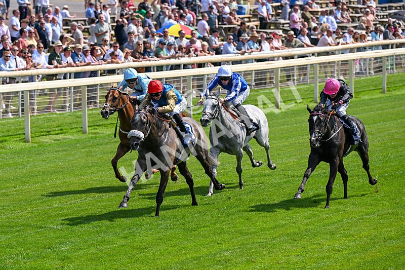 100726-Race 2-Flora Of Bermuda-0172 - Race 2 14.45pm William Hill Summer Stakes