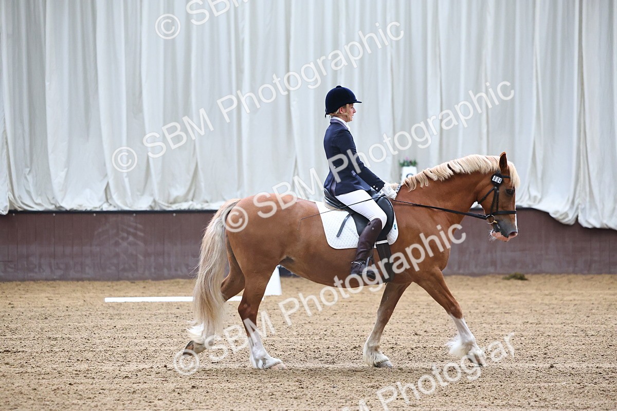 SBM_004106 - Class 1 - Intro 2-3