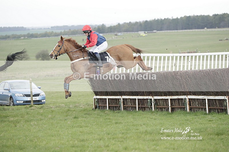 PtP 260323 0584 - New Forest Hounds Point-to-Point Larkhill 26/03/23