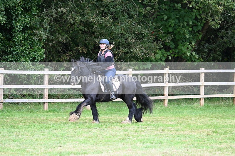 WJ7_7883 - 40cm Time 10:49 to 11:18