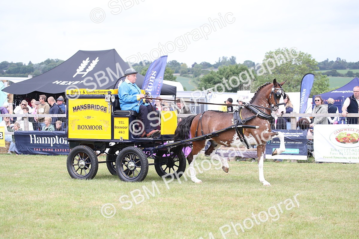 SBM_07074 - Class 16 - Light Trade