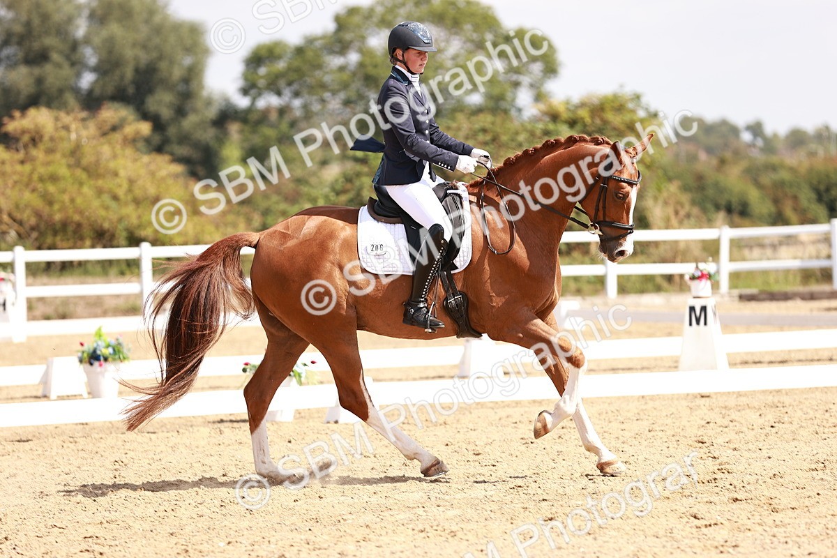 SBM_018448 - Class 17 - Novice 6