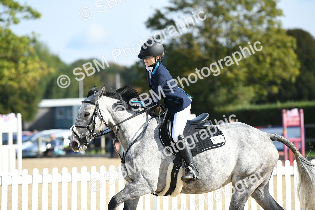 SBM_60691 - j25 - Junior Horse 80cm Championship