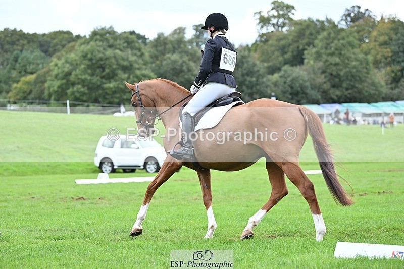 231020-152817-11484 - 686-MOORLAND.MAGIC-Charlotte.Chard-DR