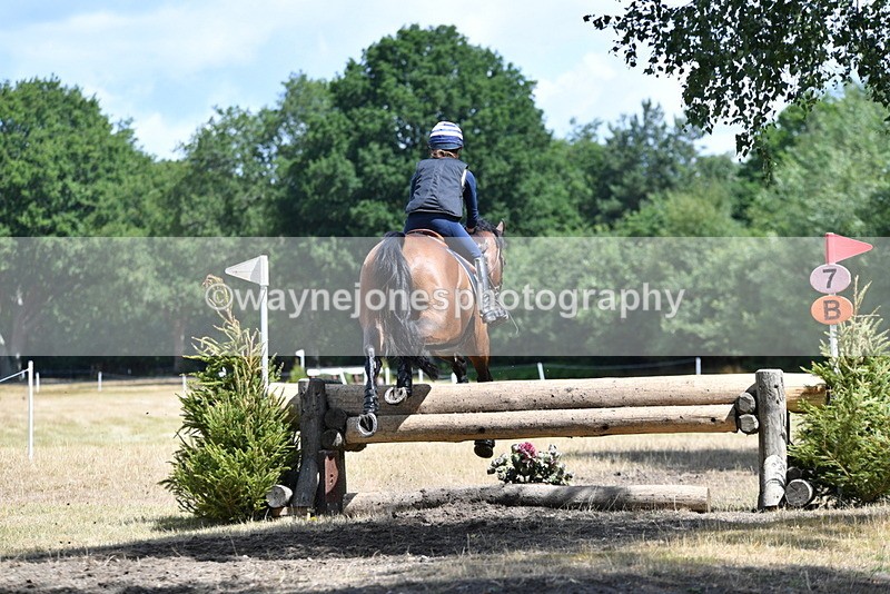 WJ5_9491 - Time 12:03 to 12:29